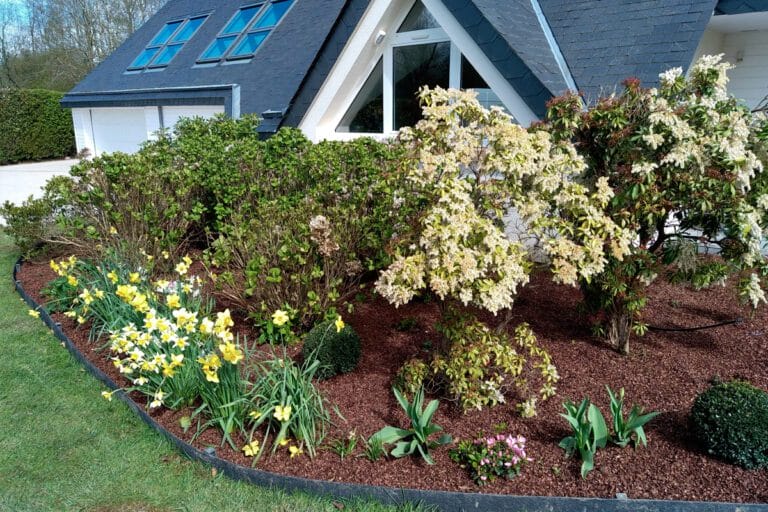 Bordure soignée dans un jardin entretenu
