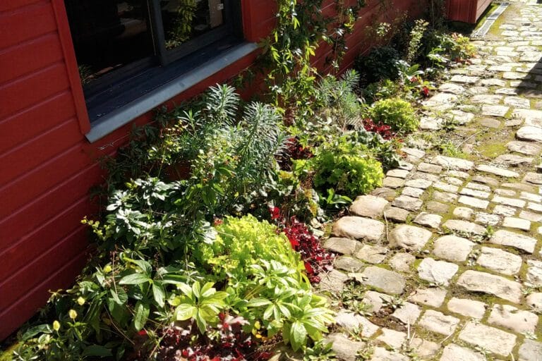 Plantation réalisée par Instinct Jardin près de Rouen