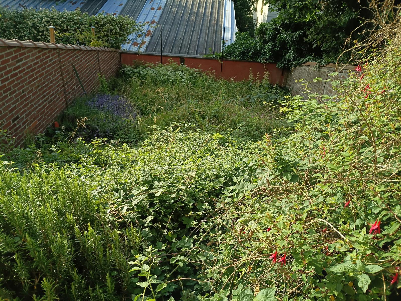 Jardin du 22 juin envahi par les ronces et les herbes avant intervention