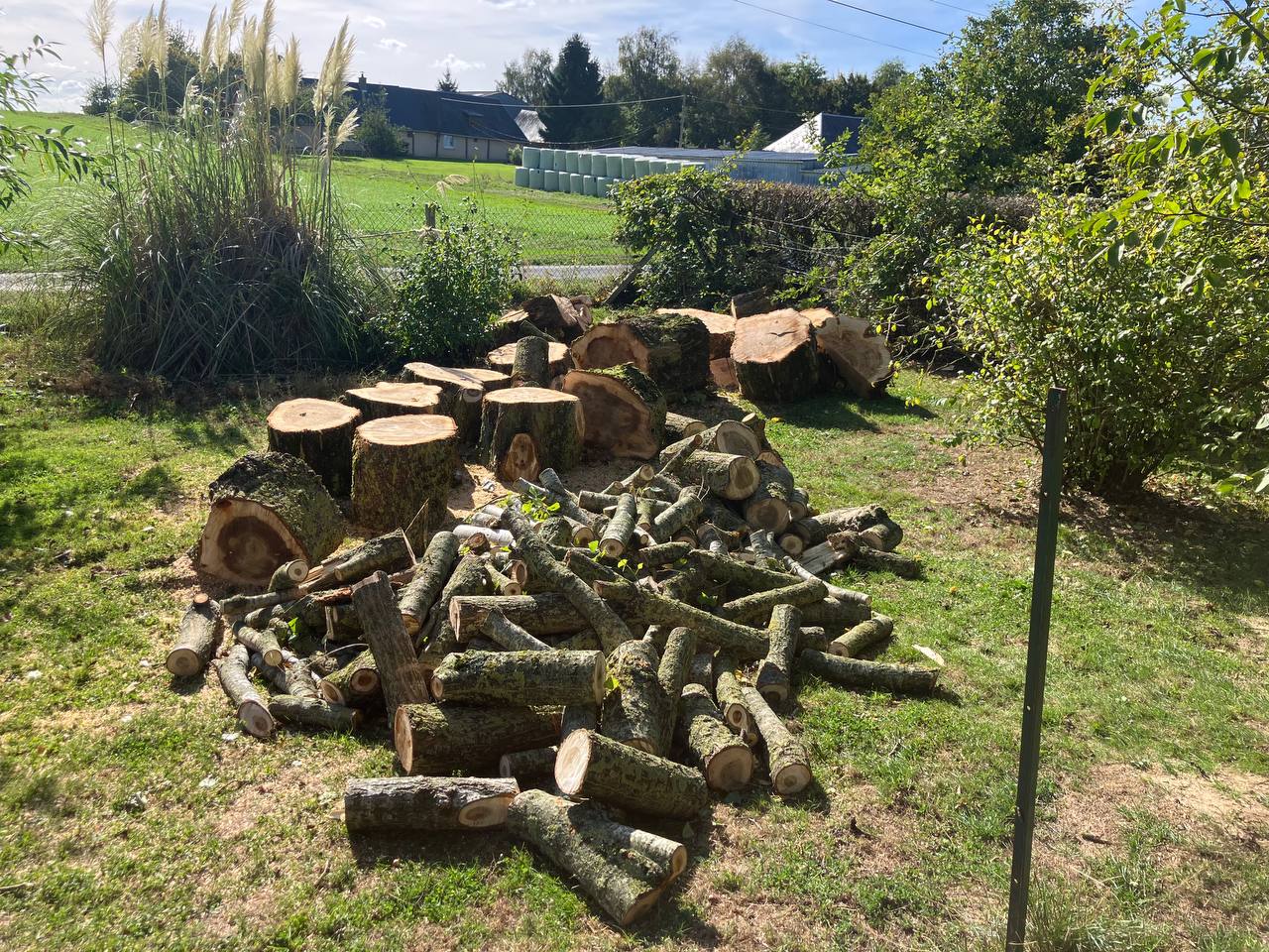 Bois débité et regroupé après le démontage à Préaux