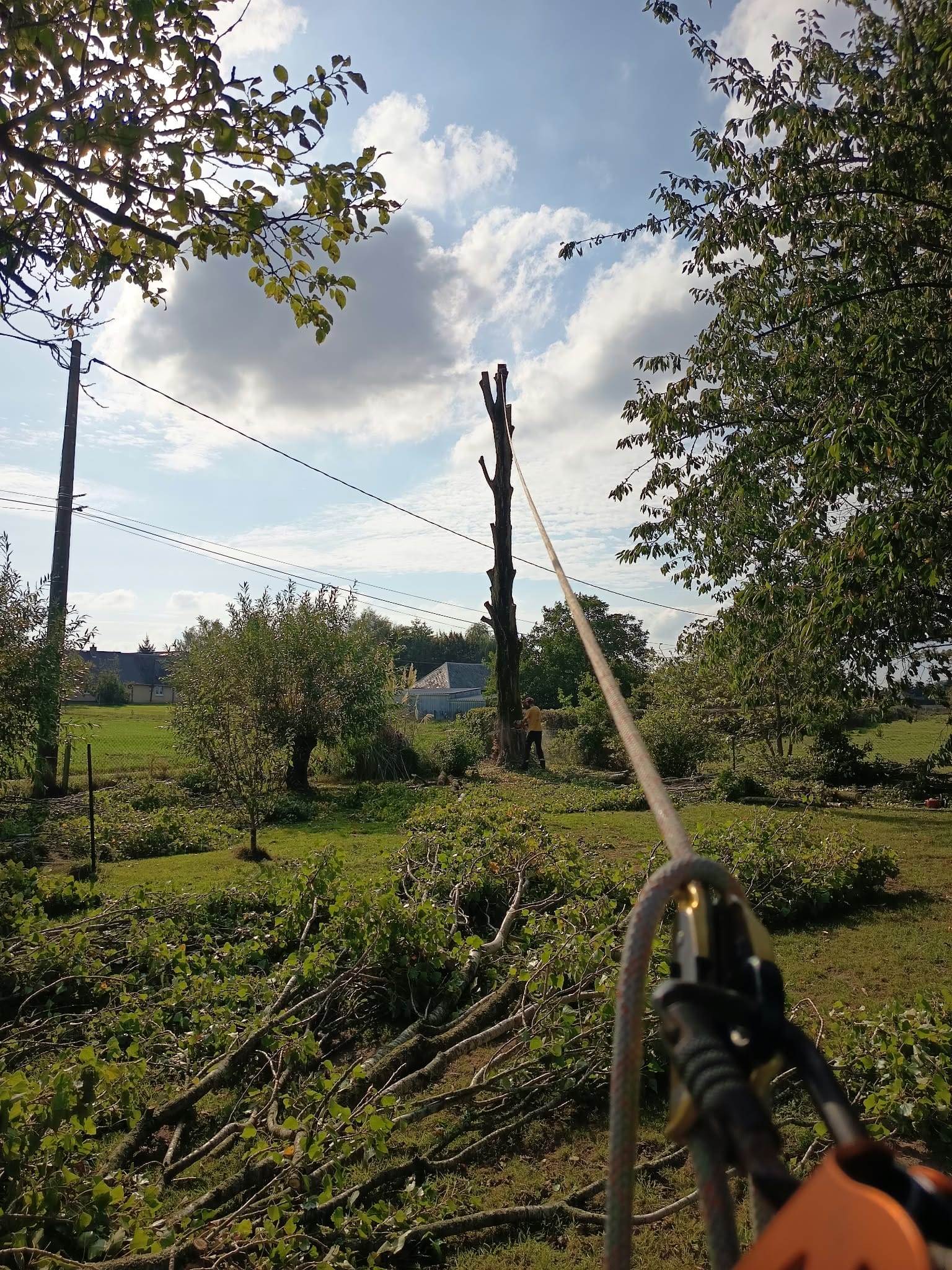 Cordages pendant le démontage du tronc à Préaux
