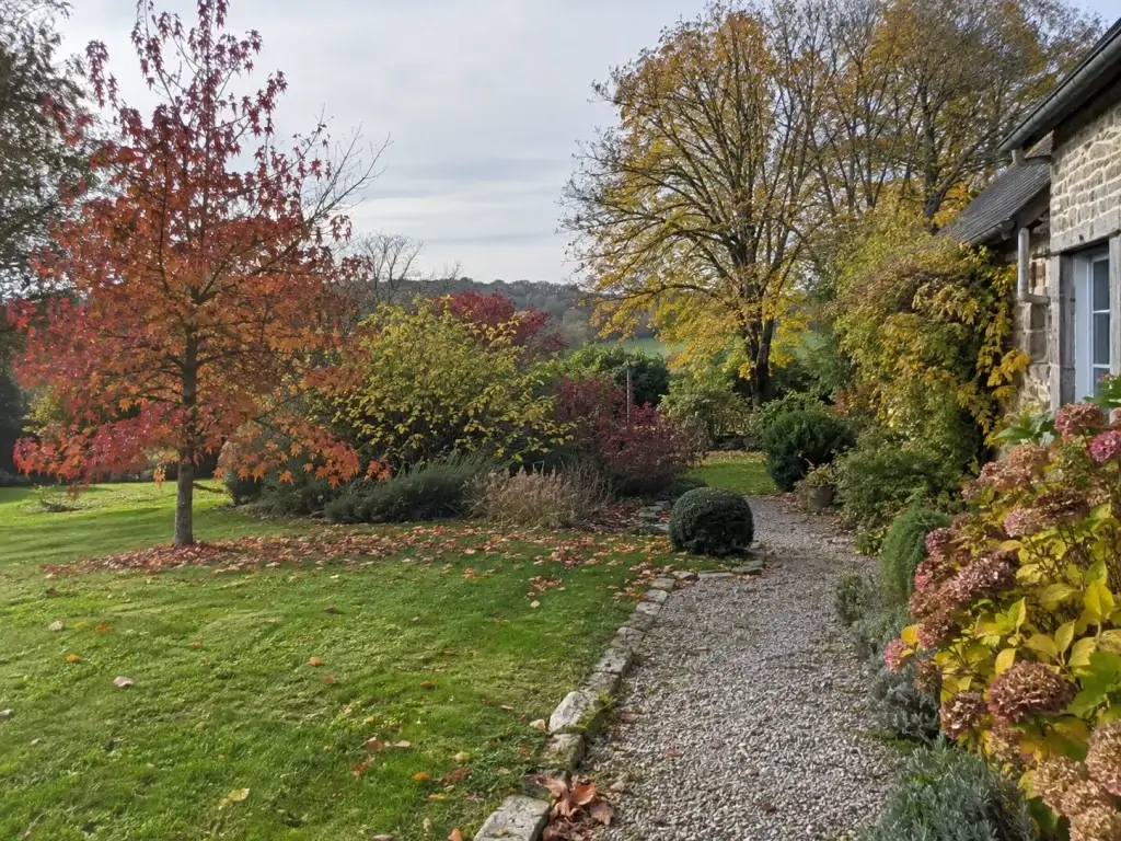 Jardin champêtre normand aux couleurs d’automne, avec arbre au feuillage cuivré et allée gravillonnée