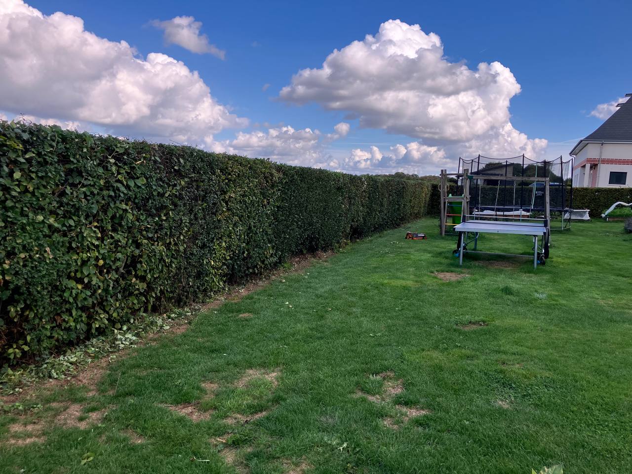Haie sur le chantier d’Isneauville — vue 3